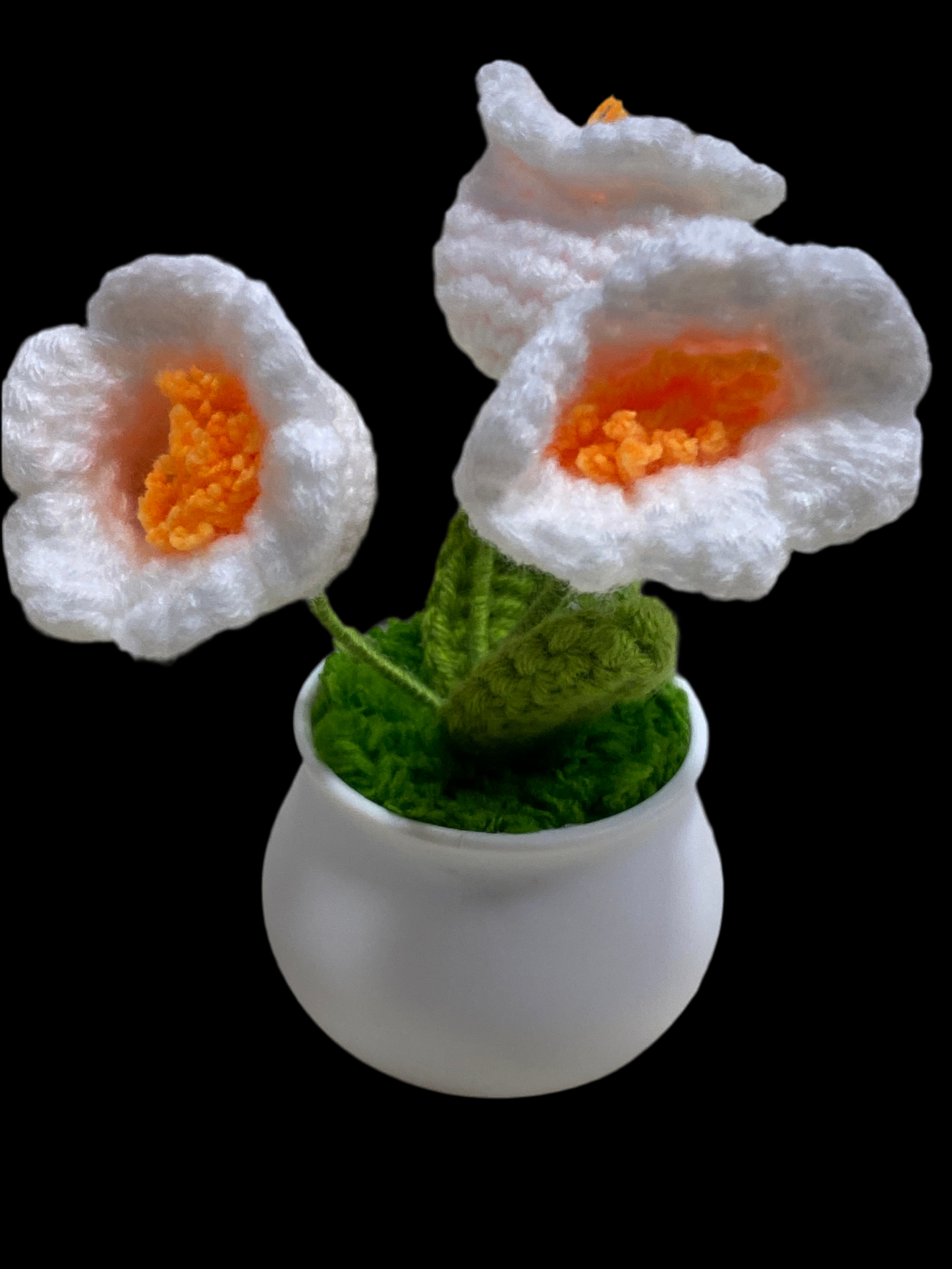 Flower POTTED18