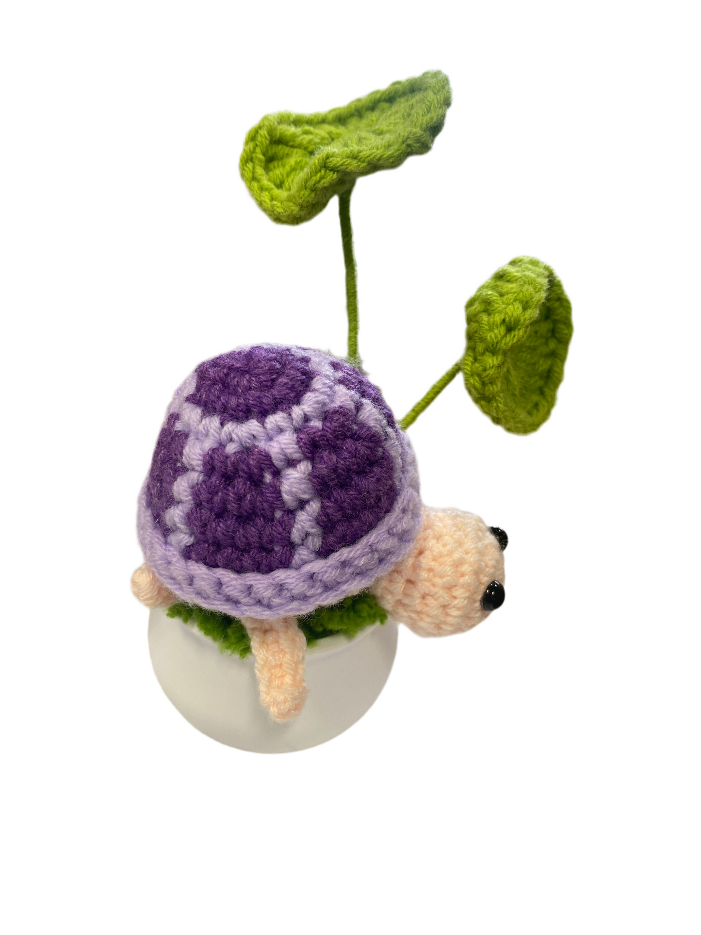 Flower POTTED7