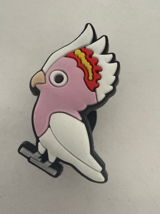 Animal-Parrot 2
