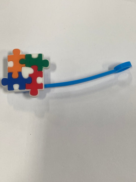 Sc Autism Awareness 1