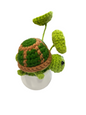Flower POTTED7