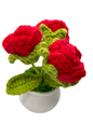 Flower POTTED3 Red