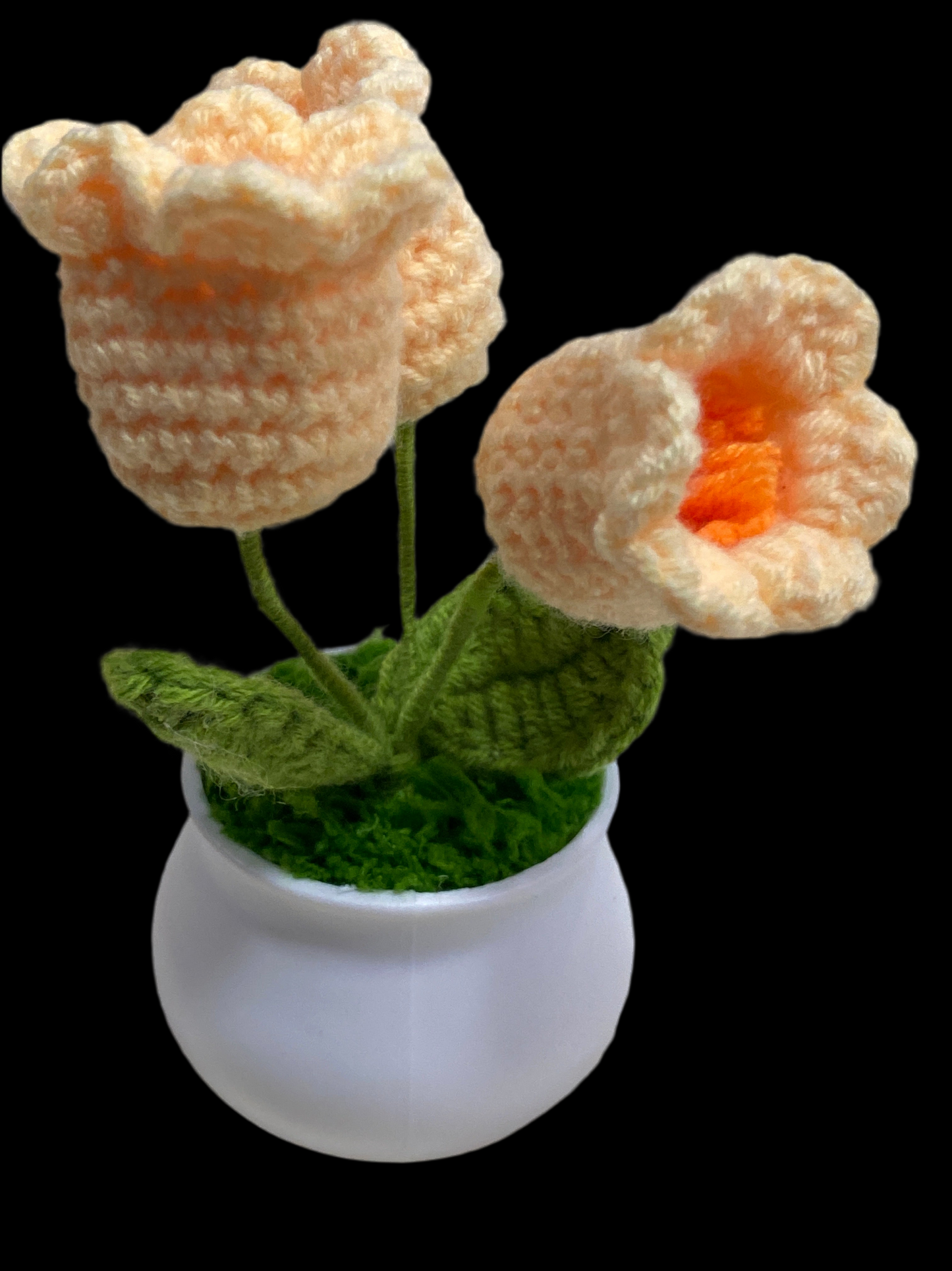 Flower POTTED18