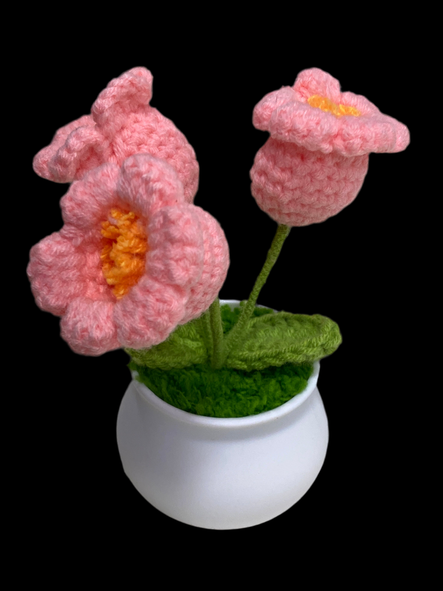 Flower POTTED18