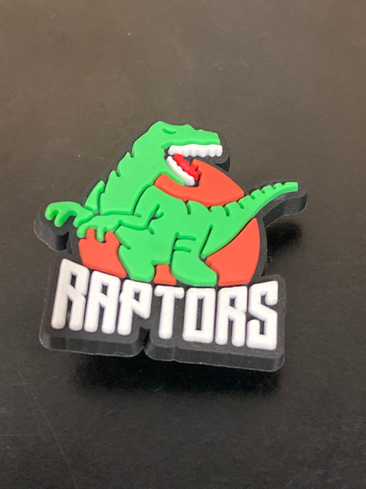 BASKETBALL/RAPTORS TORONTO