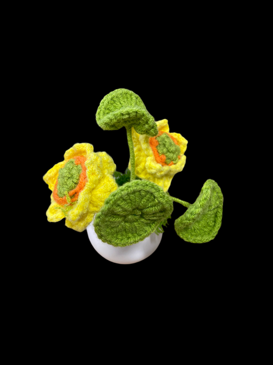 Flower POTTED16