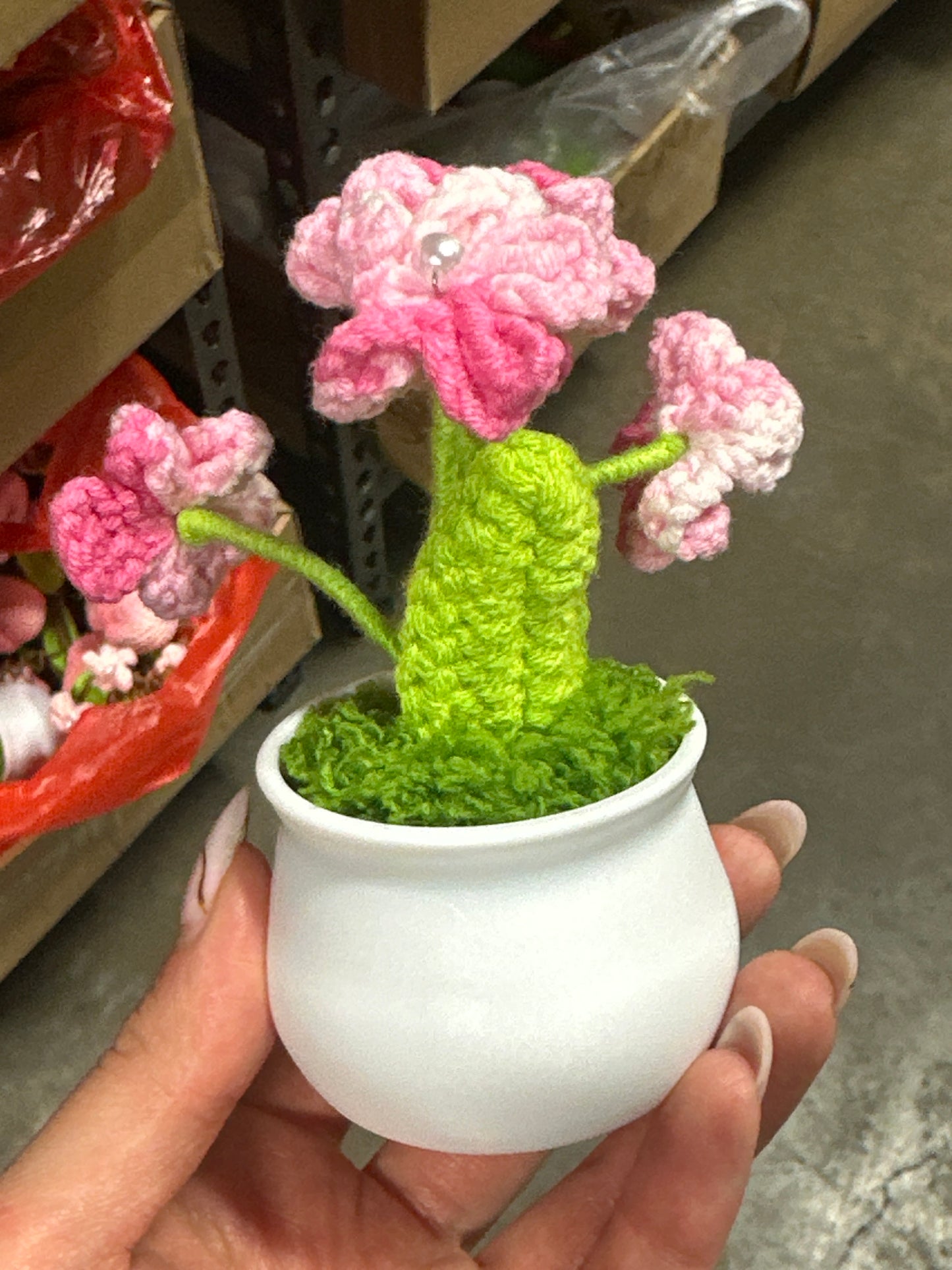 Flower Pot Pink
