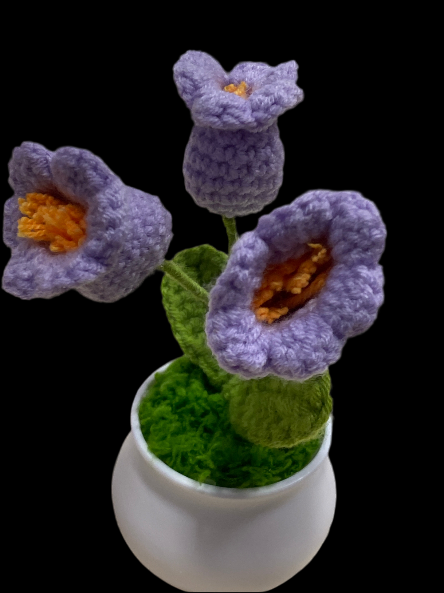 Flower POTTED18