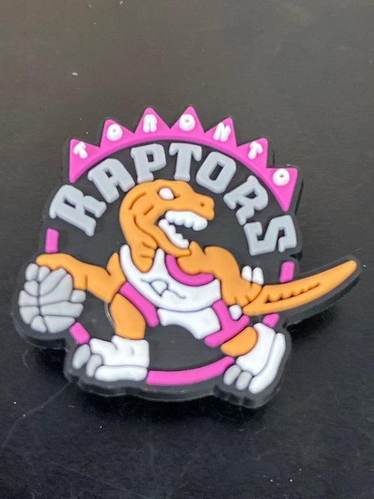 BASKETBALL/RAPTORS TORONTO 1