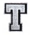 SILVER LETTER T