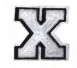 SILVER LETTER X
