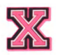 PINK LETTER X