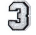SILVER NUMBER 3