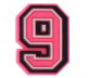 PINK NUMBER 9