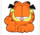 GARFIELD