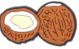 FRUIT/COCONUT 003