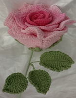 Nancy Rose Datai Rose Flower Tai Rose Pink