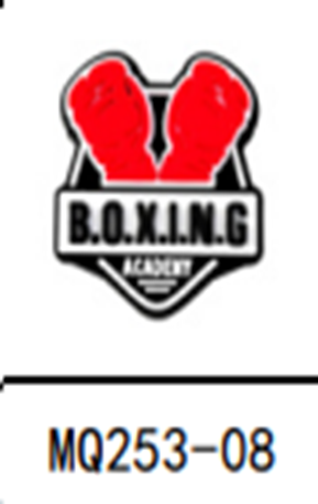 Boxing Academy Shoe Charm