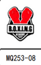 Boxing Academy Shoe Charm