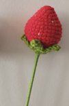 Single Red Flower 1