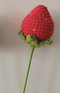 Single Red Flower 1