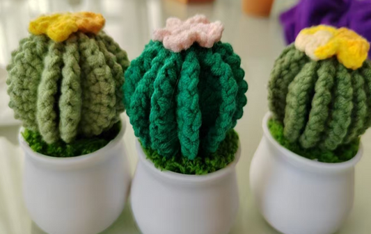 Yellow pink Cactus Flower Pot