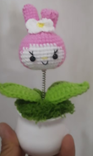 Bunny Flower Pot 2
