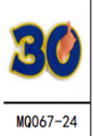 Stephen Curry 30 Shoe Charm