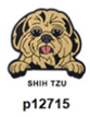 p12715-Dog Shih Tzu