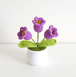 Flower POTTED18