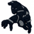 Sc Black Panther