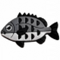 Sc Black fish