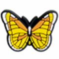 Sc Yellow Butterfly
