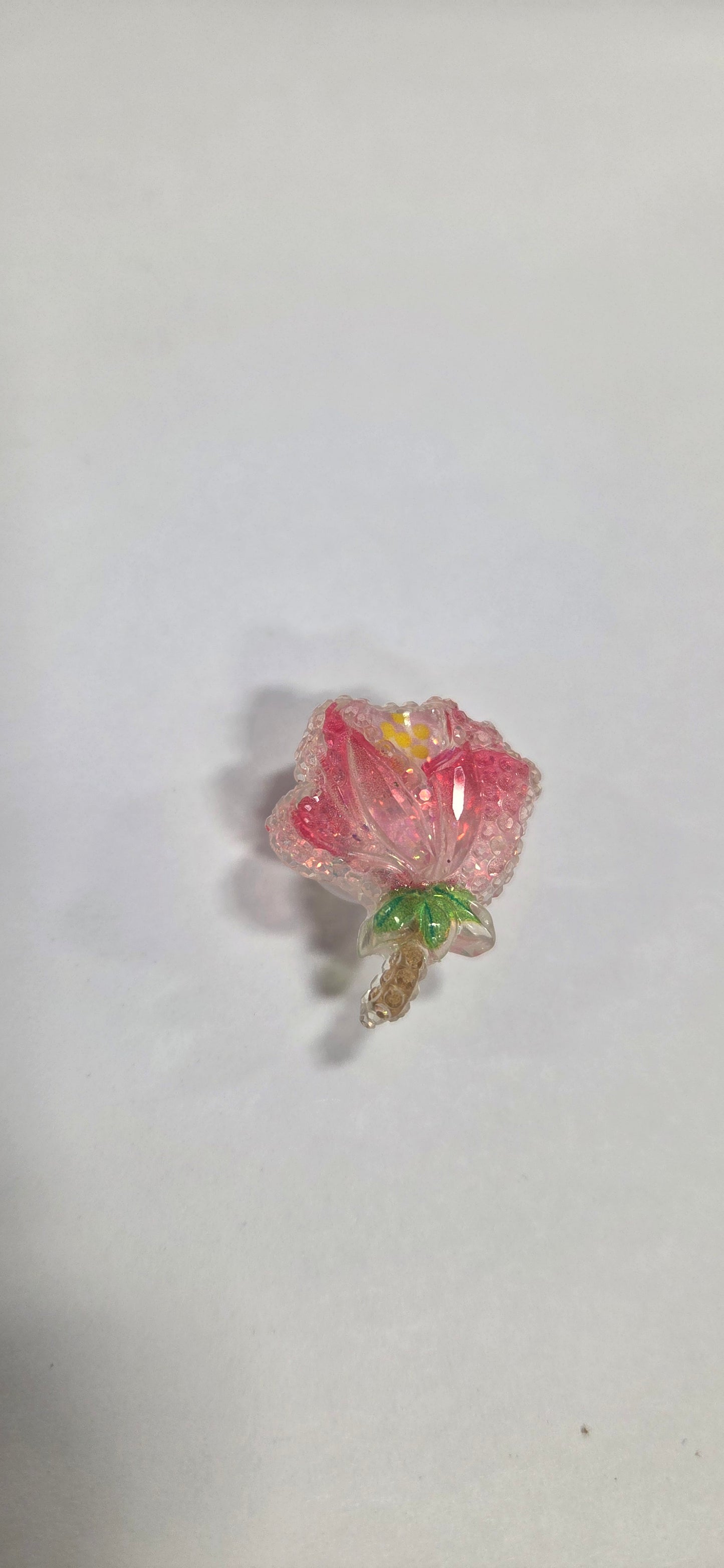 Pink Hibiscus Flower