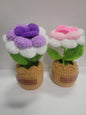 Brown Crochet Pot, With Red rose flower