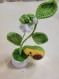 Crochet Avocado Pot