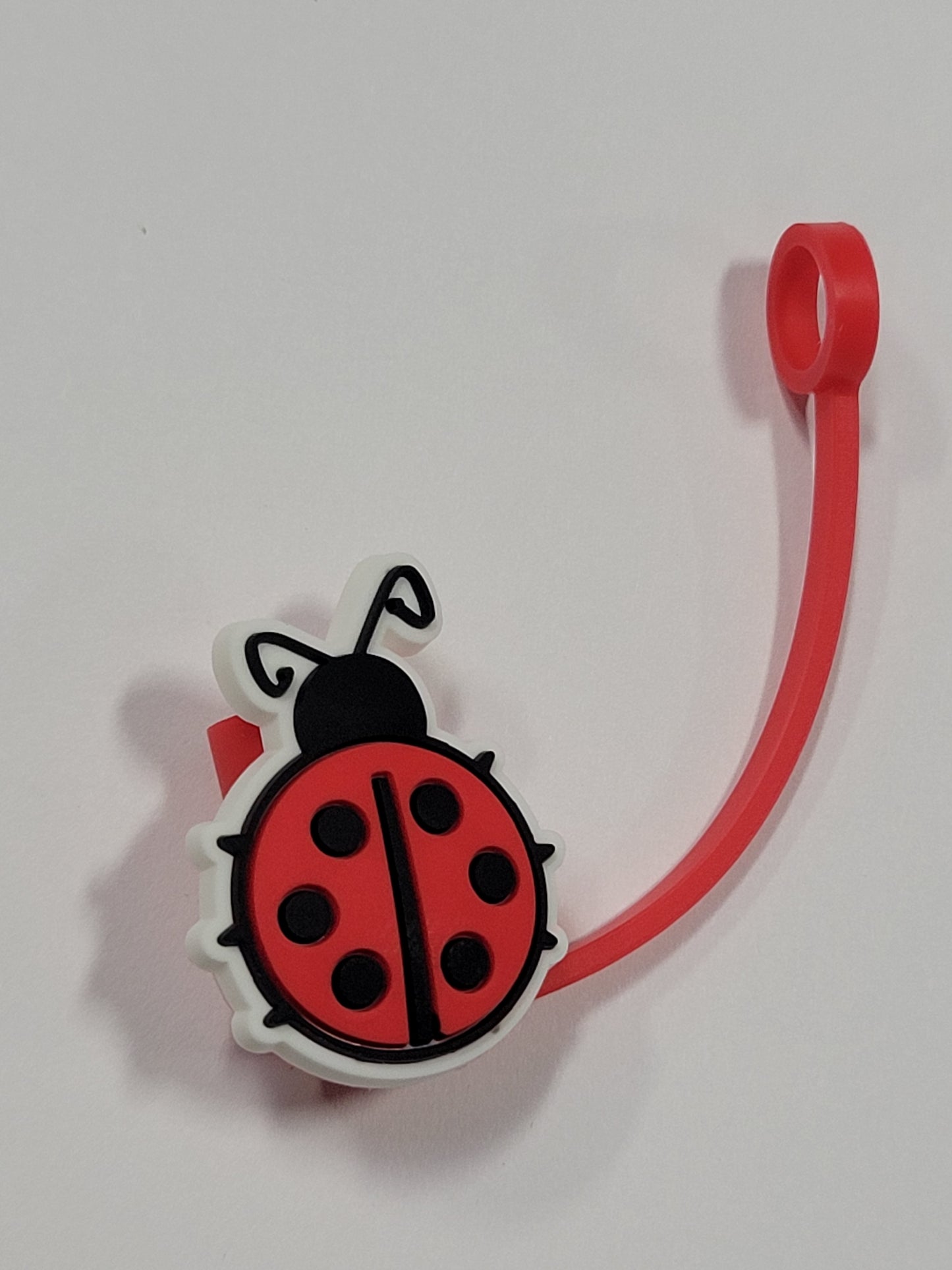 Sc Ladybugs 1