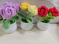 Multiple Rose Flower Pots Red, Purple, Orange, Pink, Blue