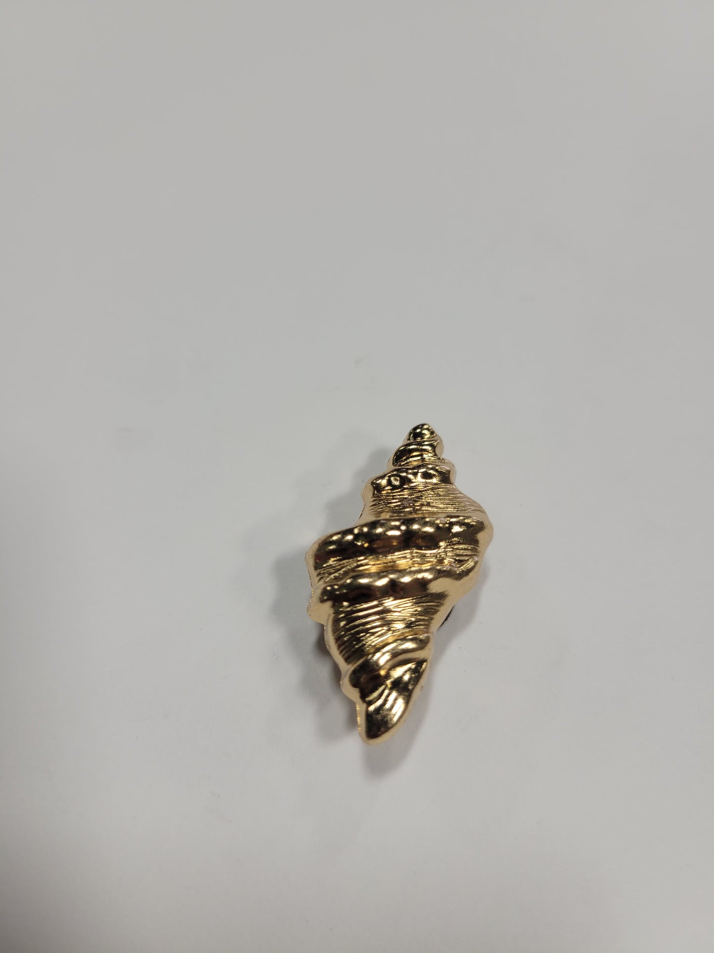 Sea Shell
