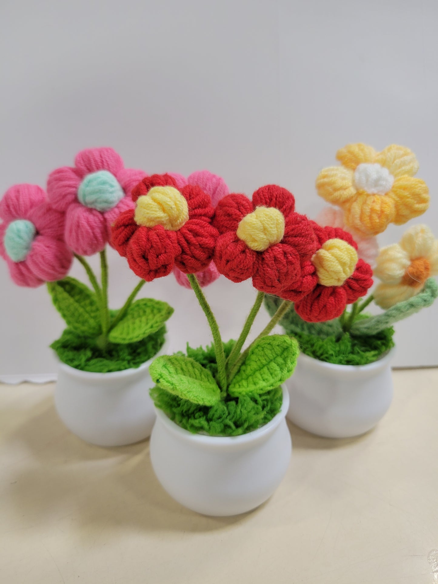 Multiple Sunflower Pots Pink, White, Blue, Yellow, Green, Purple