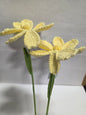 Cream Crochet Lily Flower