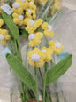 Yellow Cute Crochet Flower