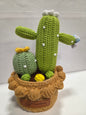 Tall Crochet Cactus Pot