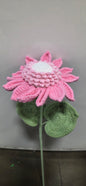 Pink Crochet Sunflower