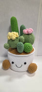 Crochet Cactus with Smiling Pot