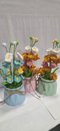 Crochet Assorted Spring Flower Pots