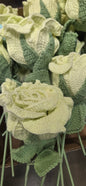 Tai Rose Light Yellow