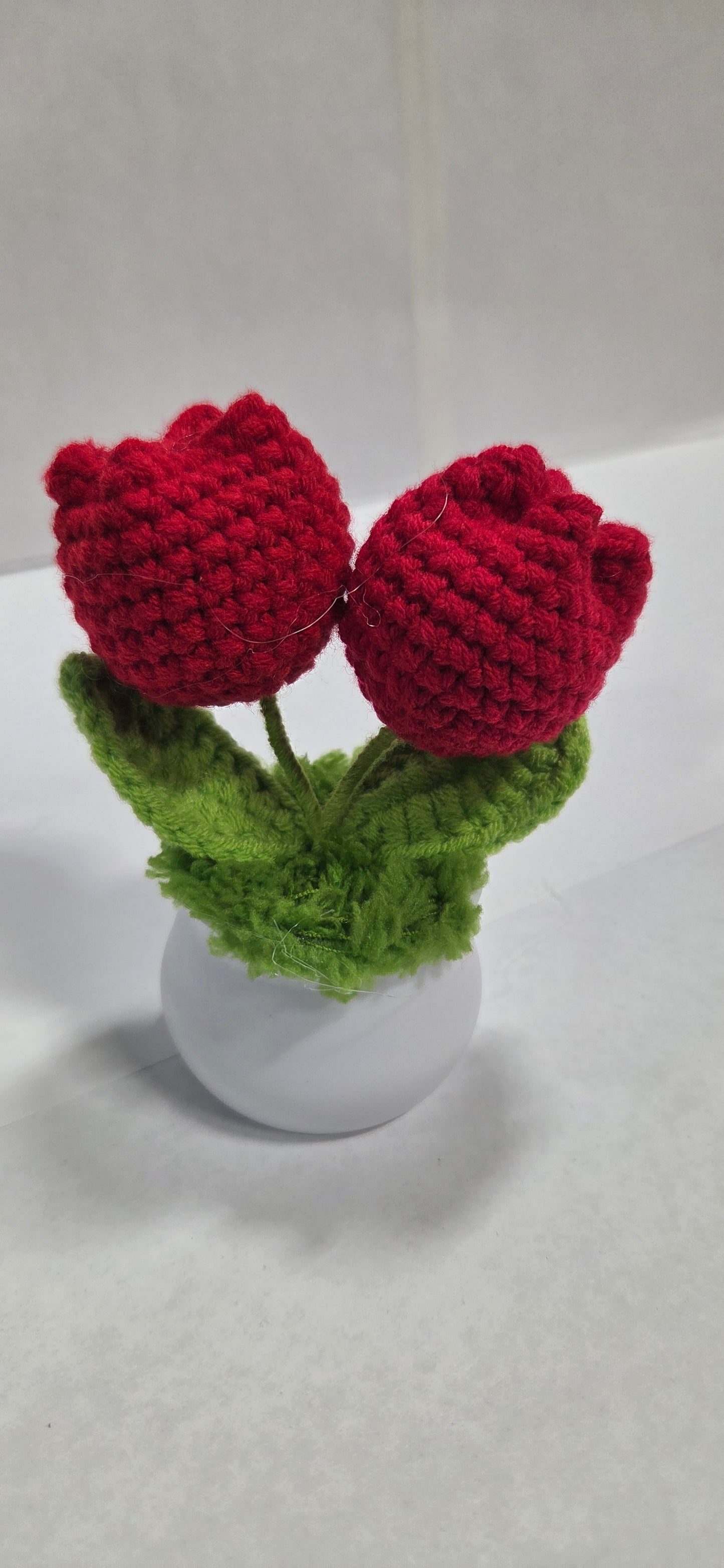 Crochet Tulip Flower Pots