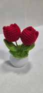 Crochet Tulip Flower Pots