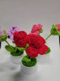 Crochet Roses Pot - Yellow, Red, Pink, Purple